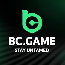 Downloading the BC App A Comprehensive Guide Downloading the BC App A Comprehensive Guide